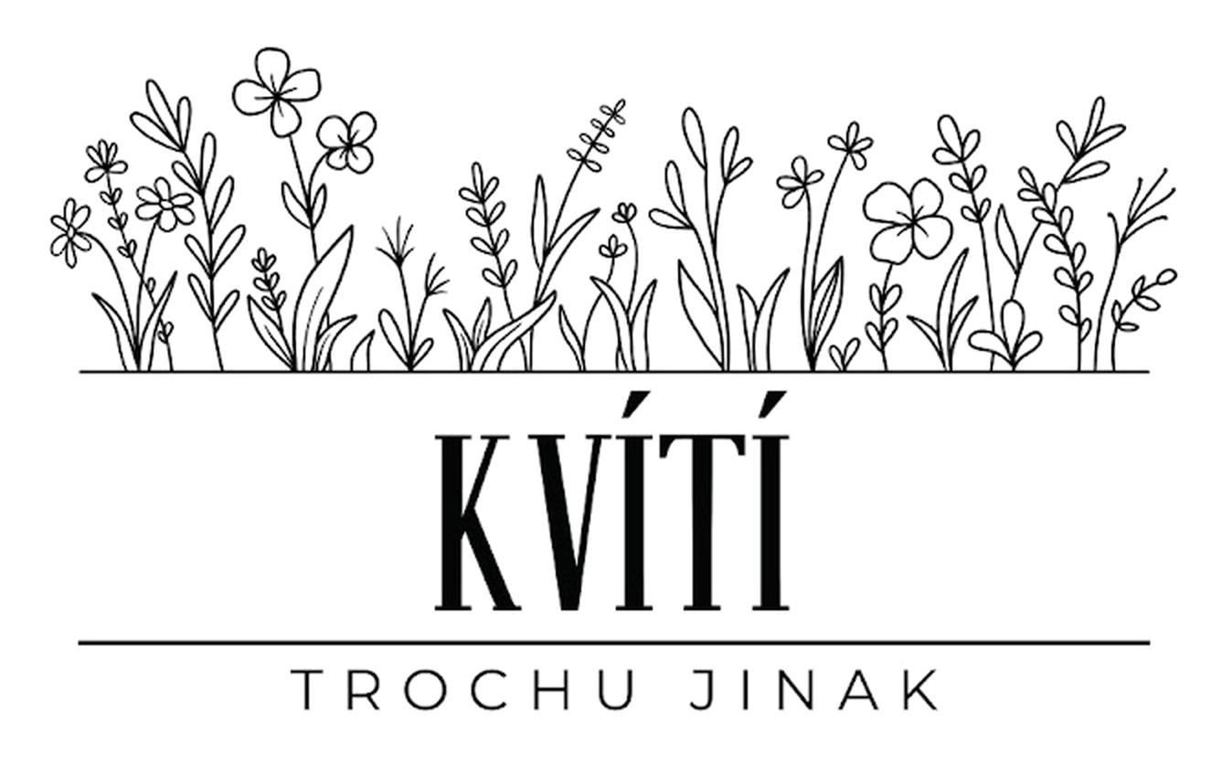 Kvítí trochu jinak